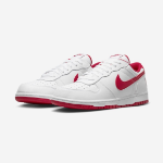 Nike Big Low