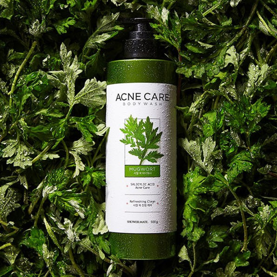 Гель для тела Shower Mate Sagebrush Acne Care, 500 г, 1 шт (скидка-16%)