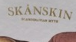 Scanskin