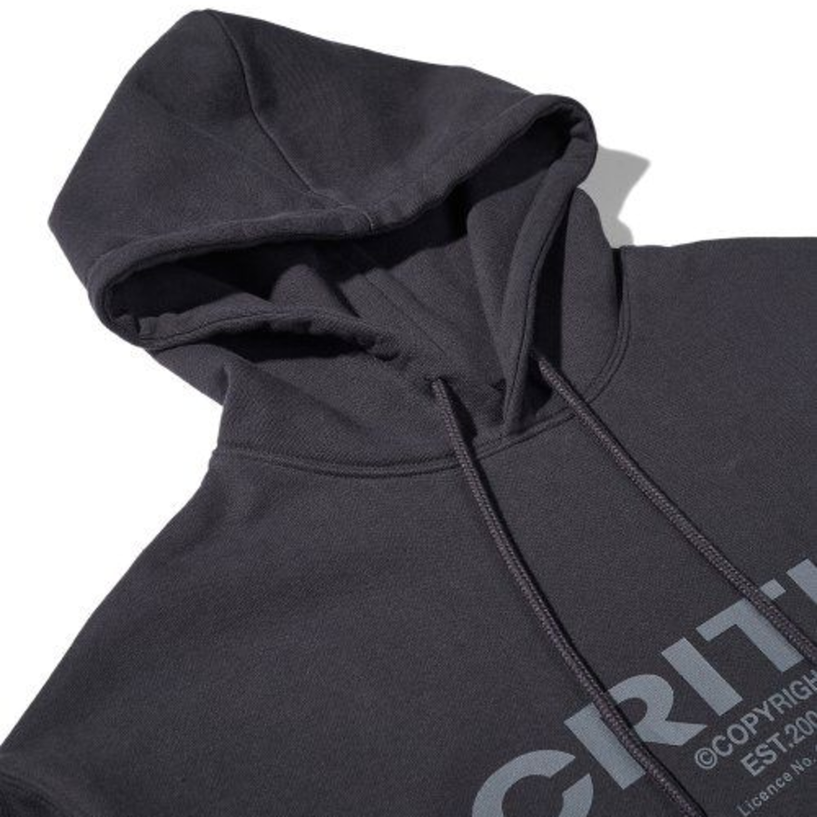 Critic Худи (Унисекс)