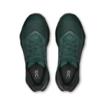 On Running Cloudpulse 2