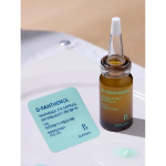 [1+1] Boncept D-Panthenol лиофилизированный ампульный набор Double Shot × 2