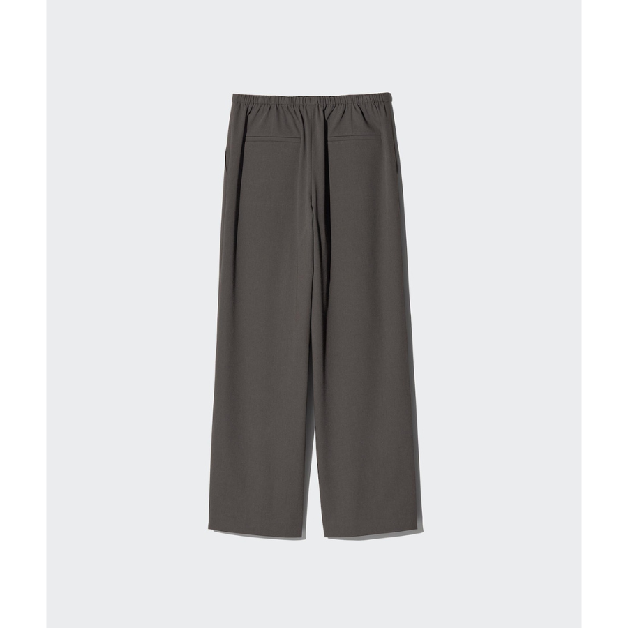 Uniqlo Smart Easy Pants