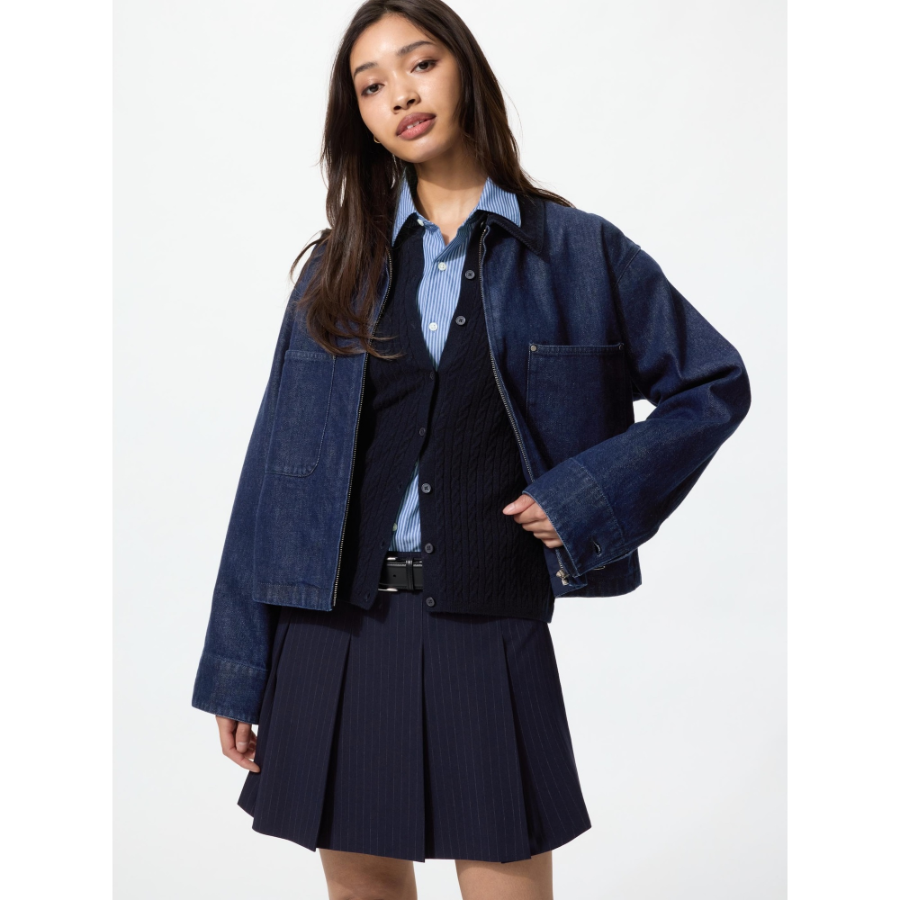 Uniqlo Pleated Skirt Striped