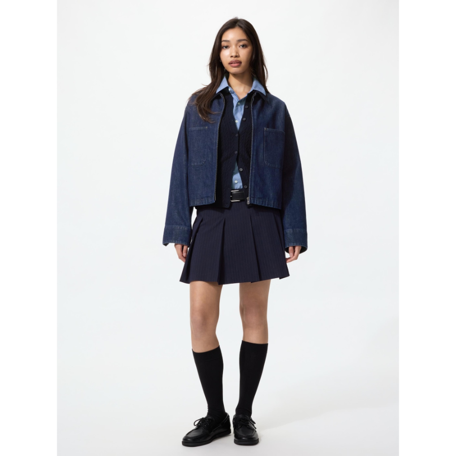 Uniqlo Pleated Skirt Striped
